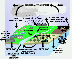 Hydrologic Cycle
