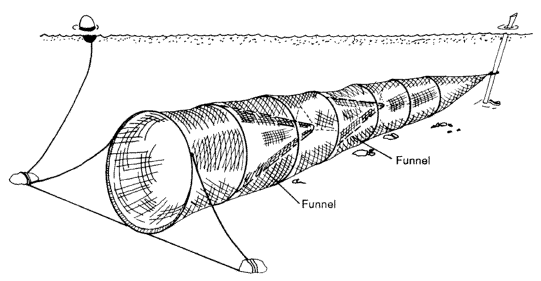 HOOP NETTING FOR DUMMIES