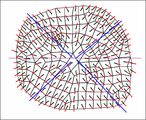 AngleInterpolation