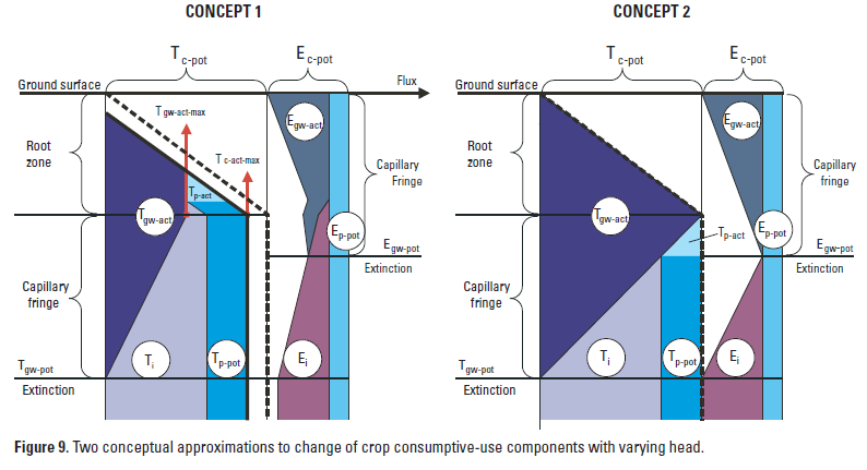 CropConsumptiveConcepts