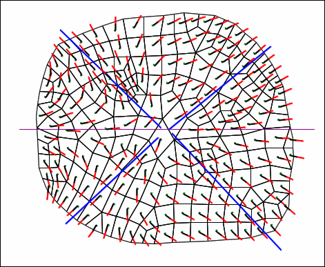 WithoutAngleInterpolation