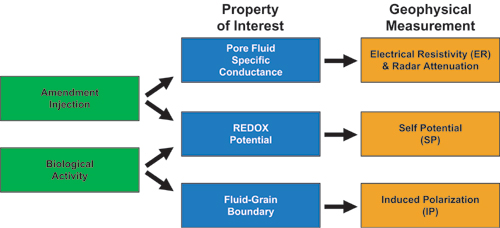  [Diagram: Relationship between amendment injections, biological activity, and geophysical signatures.] 