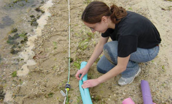  [Figure 5 - Photo: Scientist attaches float to cable.] 