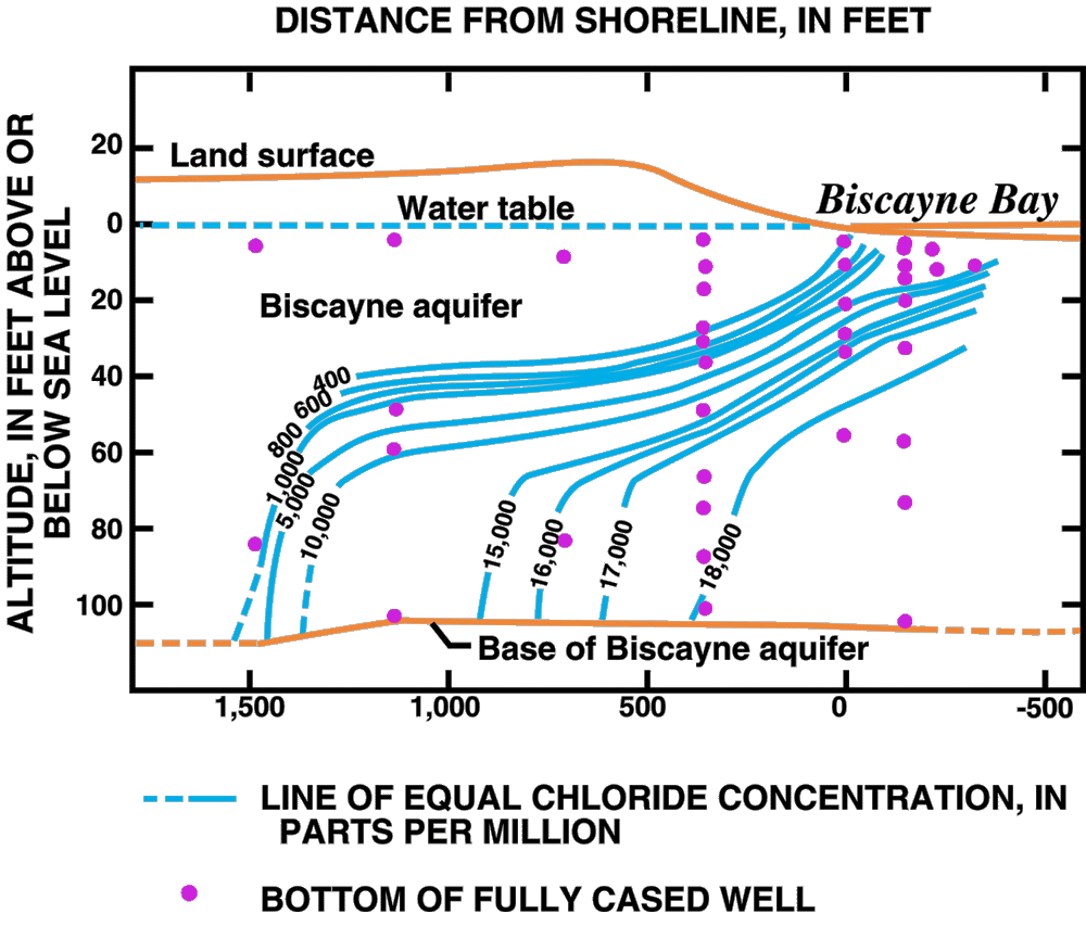 Zone of dispersion in the Biscayne aquifer