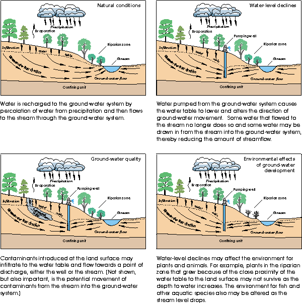 Cross section of ground-water flow to a stream illustrating various effects of ground-water development.