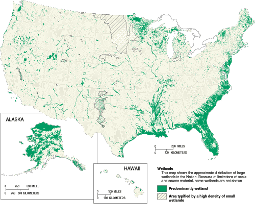 Understanding wetland hydrology will be improved if the relationships between ground water and wetlands are more clearly established.