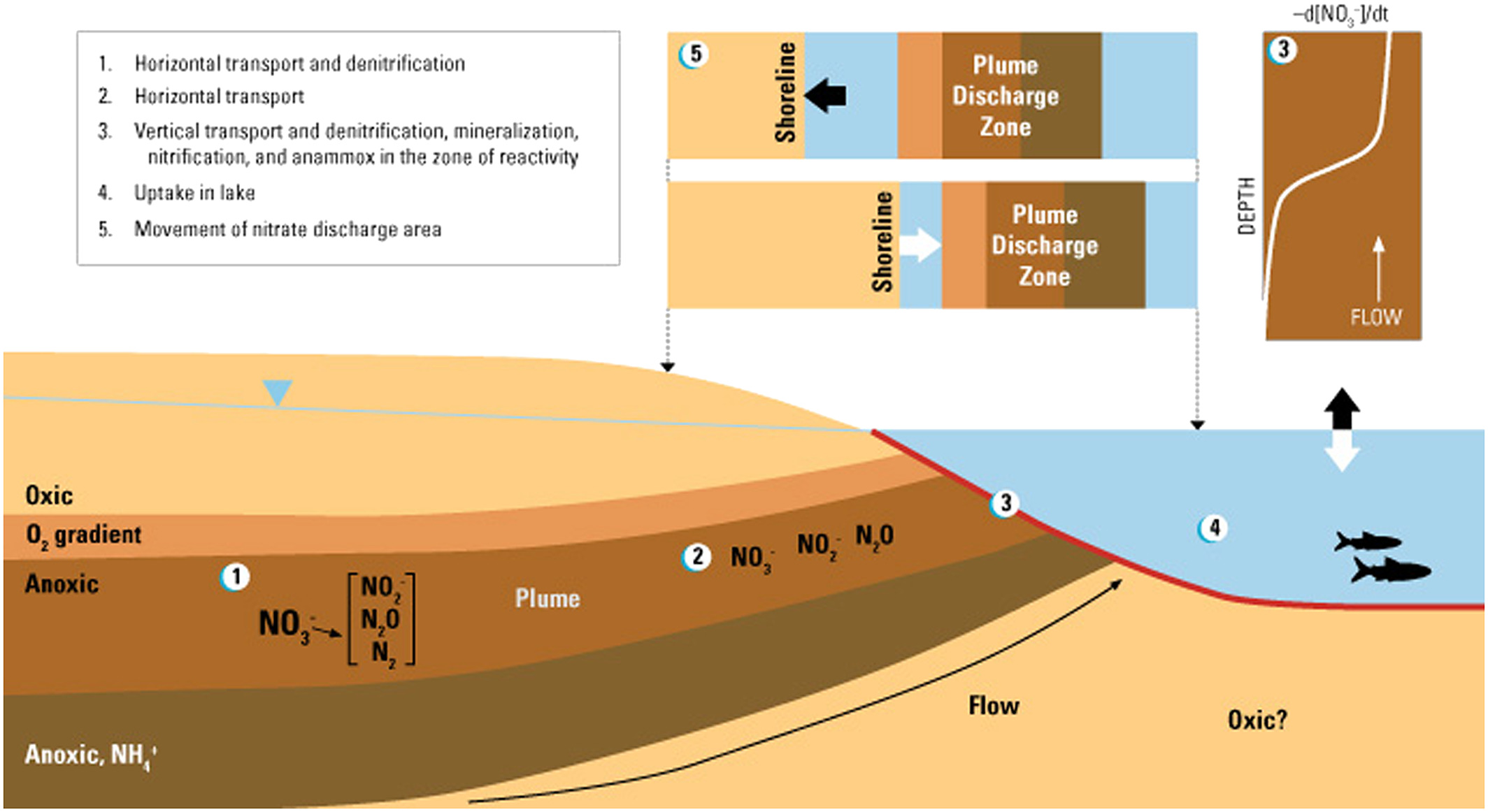  [ Generalized conceptual diagram presenting different hydrogeologic zones for study area lake. Refer to caption for complete description. ]