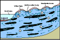  [Image: Figure 3 - Ground-water flow systems in the Great Lakes Region
