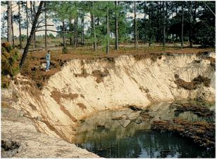 [Photo: Figure 1 - Sinkhole in west-central Florida.] 