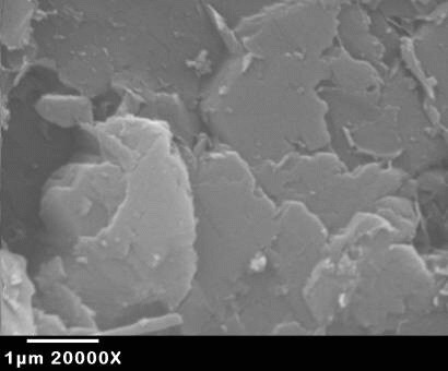 Figure 1.  Non-P bearing microcline after exposure to microbially active groundwater for 6 months.  No bacterial colonization is observed.