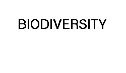 biodiversity