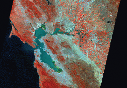 Figure 1a.   Landsat 5 TM false-color satellite image of the San Francisco Bay region, 1992.