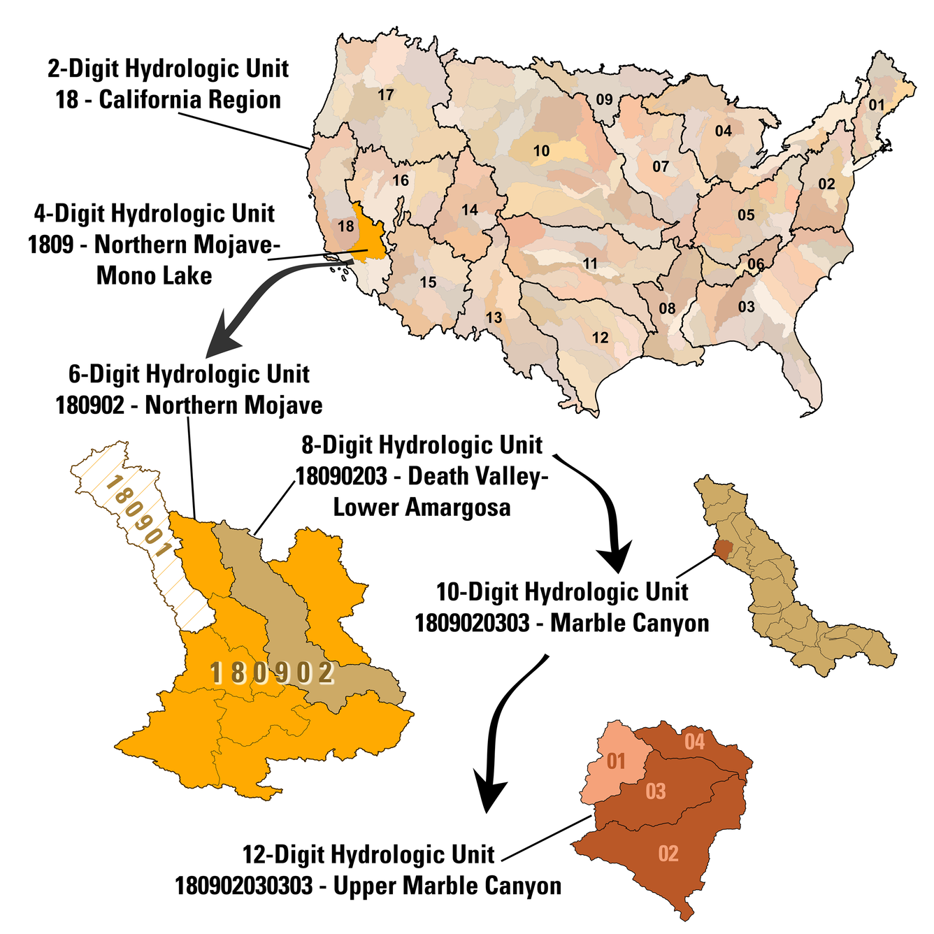 Watershed Boundary Dataset structure visualization showing nested hydrologic unit hierarchy
