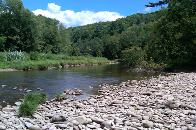 Neversink River. Photo by Pam Reilly, USGS