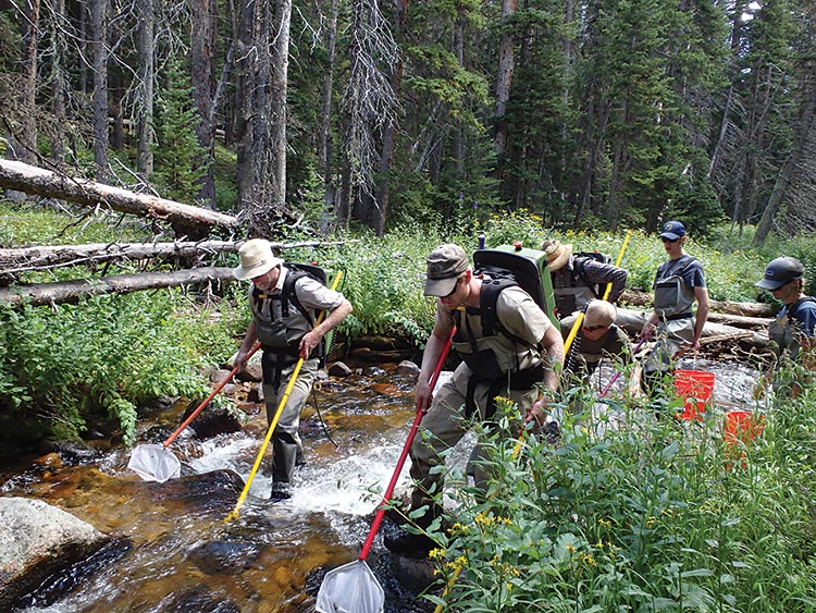 An electrofishing crew working with the Colorado Water Institute samples a stream in Rocky Mountain National Park, Colorado.