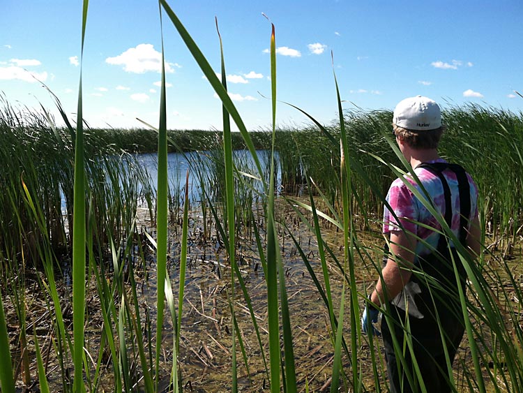 A Minnesota Water Resources Center scientist collects a surface water sample from a temporary wetland at the Cottonwood Lakes Study Area near Jamestown, ND.